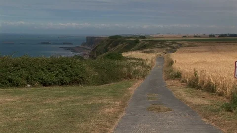 Walking trail with fields of wheat along the cliffs of Normandy, France Video stock 103289376