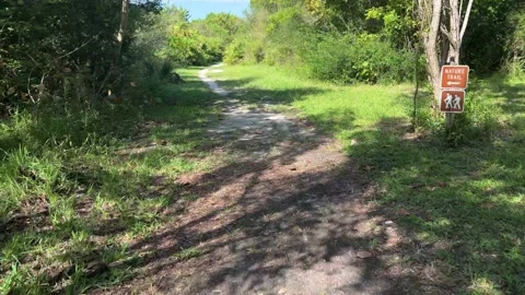 Walking a trail in Florida Stock-Footage 221274419