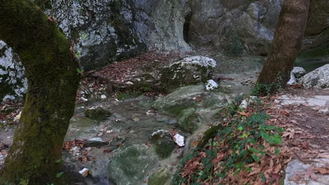 A walking trail following the river bed leading to a waterfall. Stock Footage 255396646