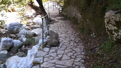 A walking trail following the river bed leading to a waterfall. Stock Footage 255398924