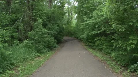 Walking Trail Video stock 11112951