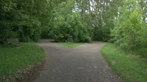 Walking Trail Video stock 11115157