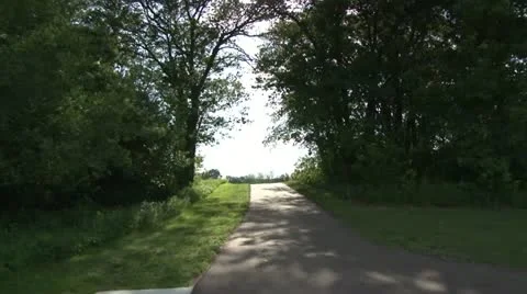 Walking Trail Video stock 11115171