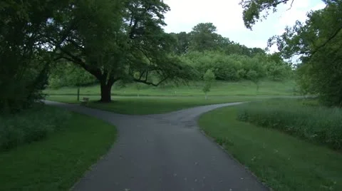 Walking Trail Video stock 11115175