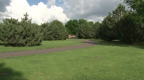 Walking Trail Video stock 11115216