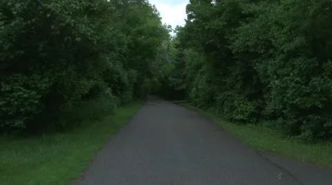 Walking Trail Video stock 11115220