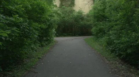 Walking Trail Video stock 11115224