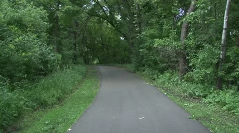 Walking Trail Video stock 11115248