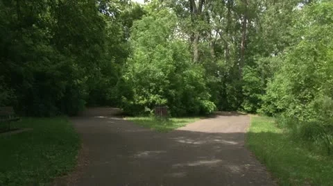 Walking Trail Video stock 11115270