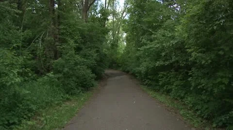 Walking Trail Video stock 11115278