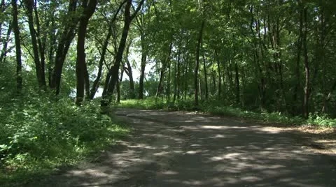 Walking Trail Video stock 11115280