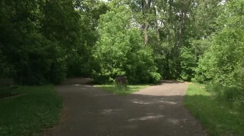 Walking Trail Video stock 11115301