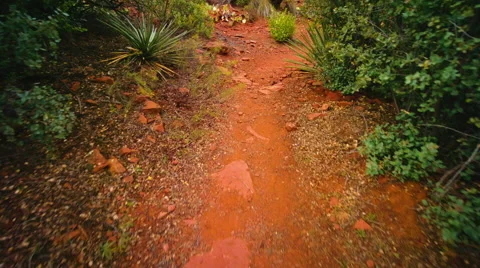 Walking Trail Vidéo 46231035