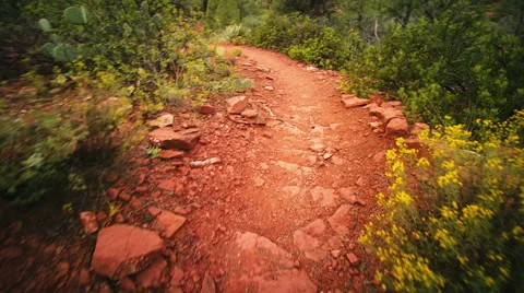 Walking Trail Vidéo 46231118