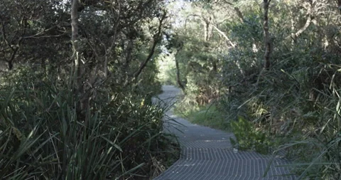 Walking trail Stock Footage 163999670