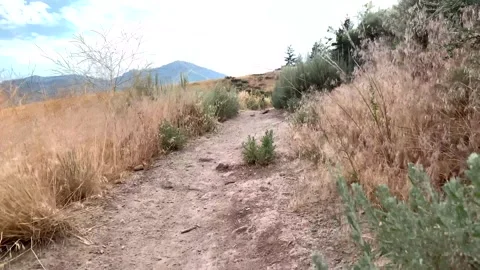 Walking trail Stock Footage 202084340