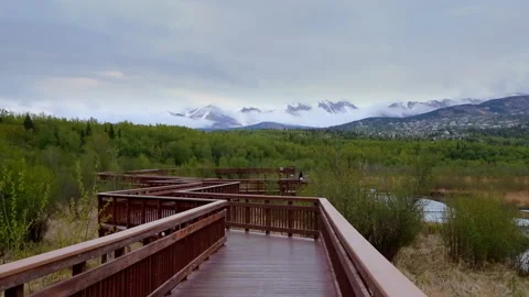 Walking trail over a river and swamps in an alaska nature reserve Video stock 139641152