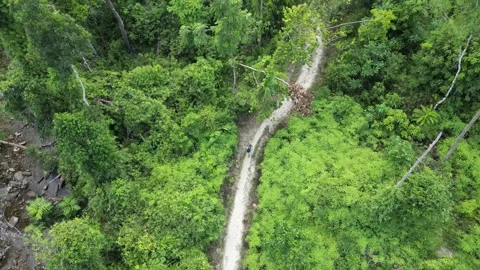Walking on a Trail in the Philippines Stock Footage 303281262