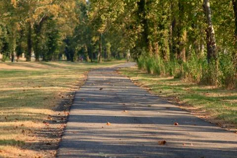 Walking Trail Stock-Fotos