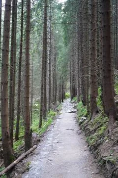 Walking trail Stock Photos