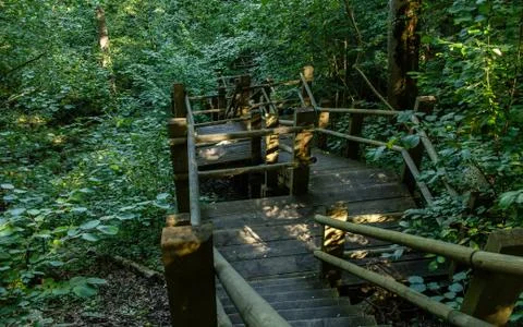 Walking trail stairs in green forest Stock Photos