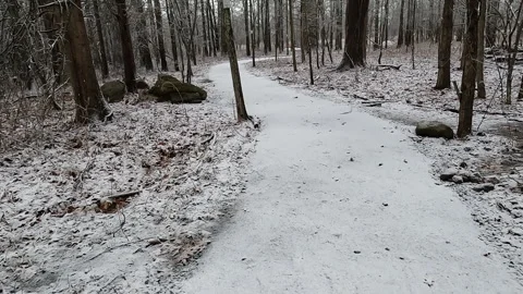Walking on the trail in the swamp with a dusting of snow Stock Footage 297512335