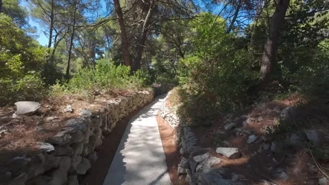 Walking Trail Through Čikat Park with Stone Walls and Pine Trees Mali Lošinj 스톡 동영상 345008903