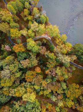 Walking trail through forest in fall at river edge Foto stock