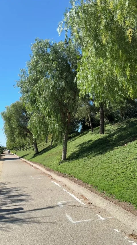 Walking trail through green park area under clear sky in California Stock Footage 320315846
