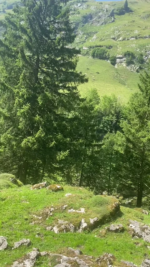 A walking trail through the rocks and passes that go up to the sky 動画素材 315163450