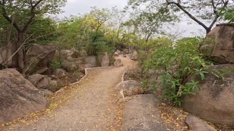 Walking Trail Through Rocky Terrain at Mama Bhagne Pahar, Dubrajpur Stock Footage 274640397