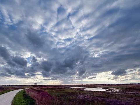 Walking trail through wetlands under storm clouds at sunset. Stock Photos