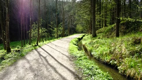 Walking on a trail in the valley thurytal Stock Footage 153838971