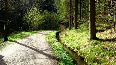 Walking on a trail in the valley thurytal Stock Footage 153839052