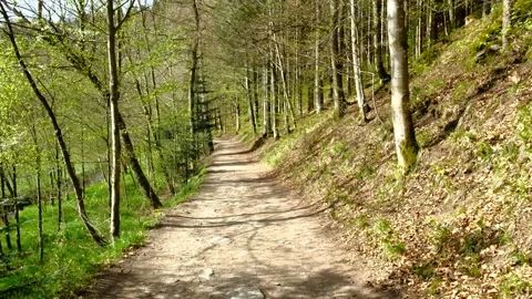 Walking on a trail in the valley thurytal Stock Footage 153839121
