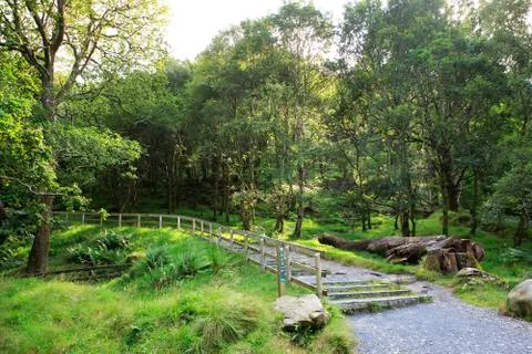 Walking trail to the waterfall. 스톡 사진