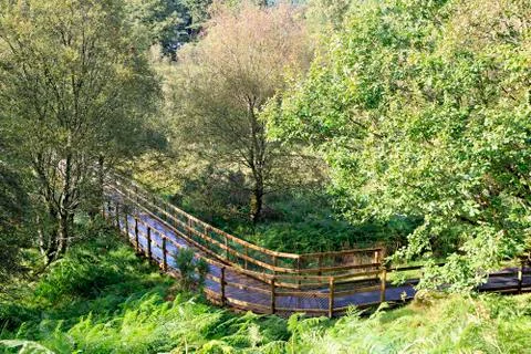 Walking trails after the rain Stock Photos