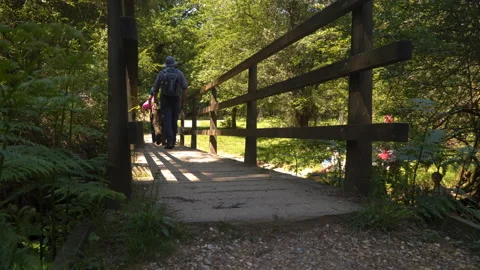 Walking trails in the forest with group of people Stock Footage 150179866