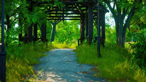 Walking trails in the park Stock Footage 229847032