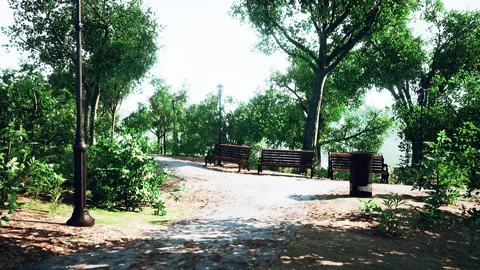 Walking trails in the park Stock Footage 231399207