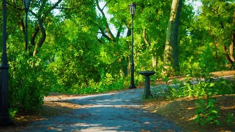 Walking trails in the park Ilustración de archivo