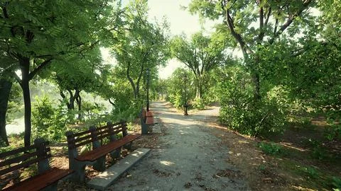 Walking trails in the park Ilustración de archivo