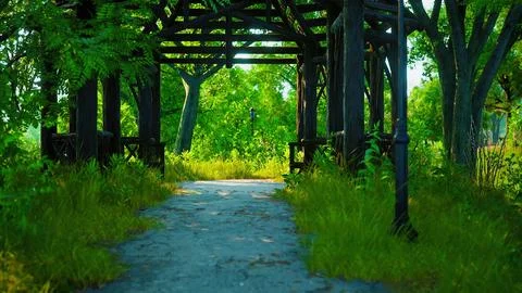Walking trails in the park Stock Illustration
