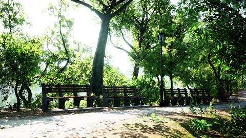 Walking trails in the park Ilustración de archivo