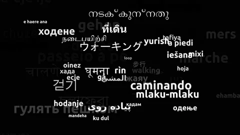 Walking Translated in 57 Worldwide Languages Endless Looping 3d Zooming Wordc Stock Footage 145231546