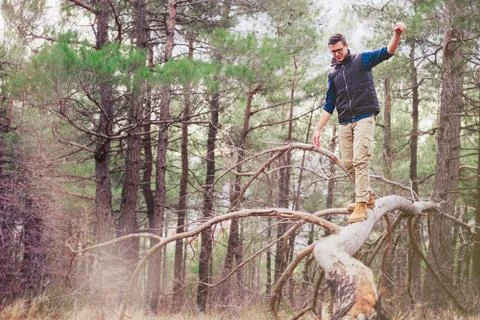 Walking on tree trunk Stock Photos