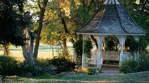 Walking in trees with white gazebo Video stock 102675796