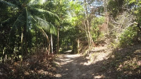 Walking in the tropical nature 스톡 동영상 220908622