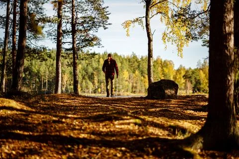 Walking trough forest Foto stock