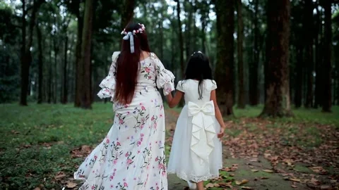 Walking TTowards the enchanted forest Stock Footage 248527709